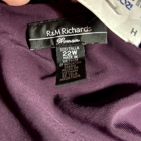 Purple  Floor Length Plus Dress - Picture 6 of 8